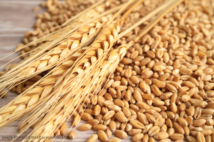 Lemon Barley Water Recipes