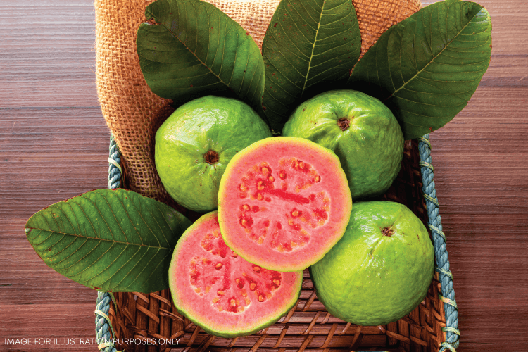 Pink Guava Crush Recipes
