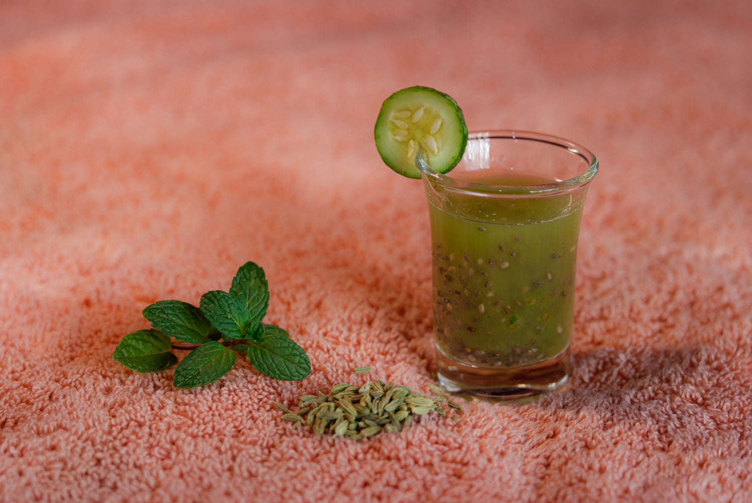 Variyali Sharbat recipes