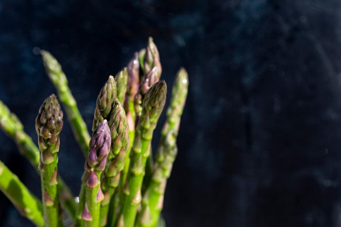 Asparagus Plant
