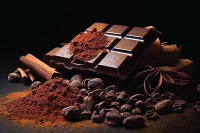 Dark Chocolate Tinge of Spice