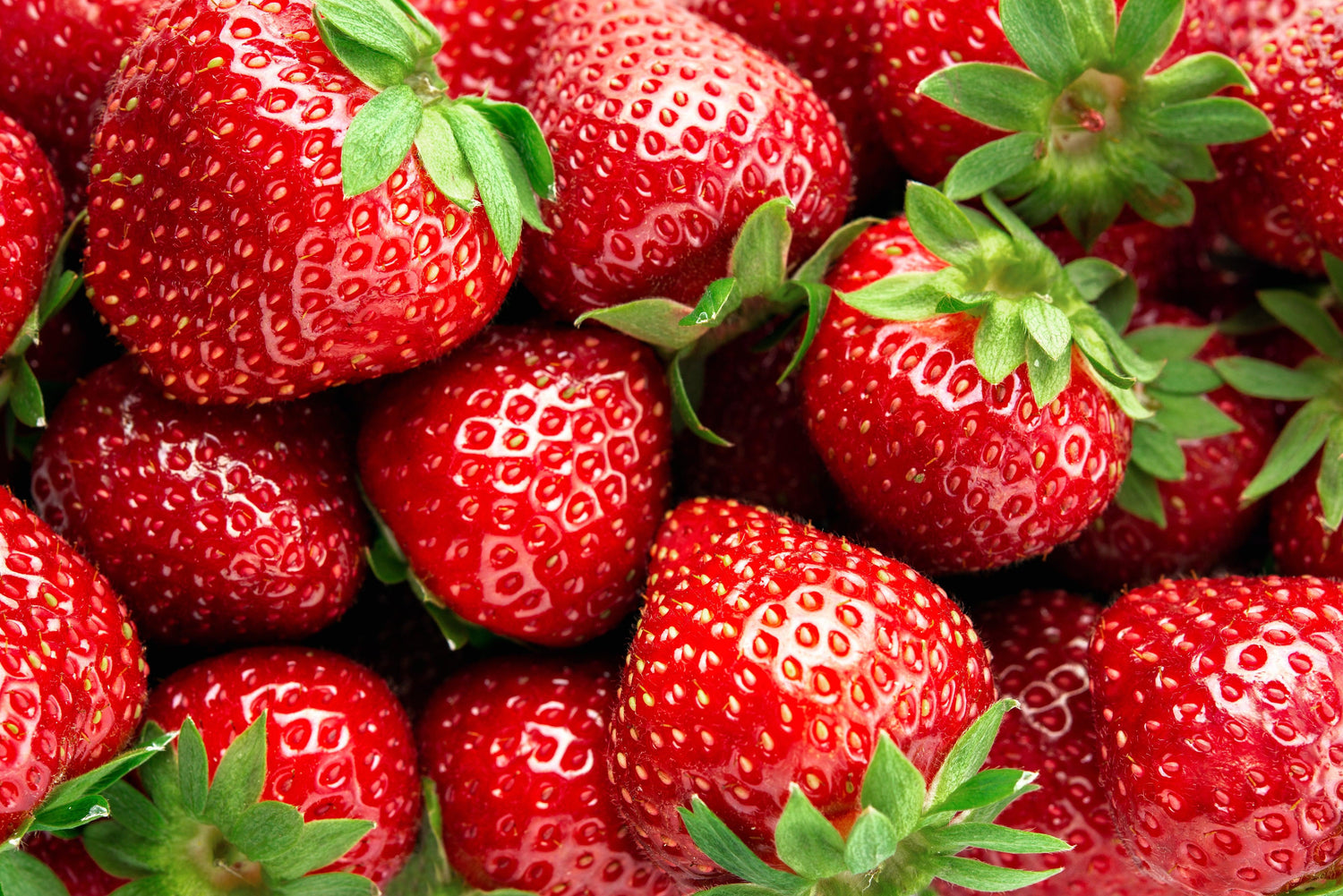 Strawberry Crush Recipes