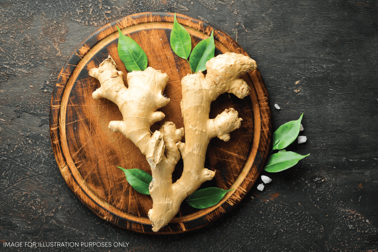 Gingerale Recipes – Mapro
