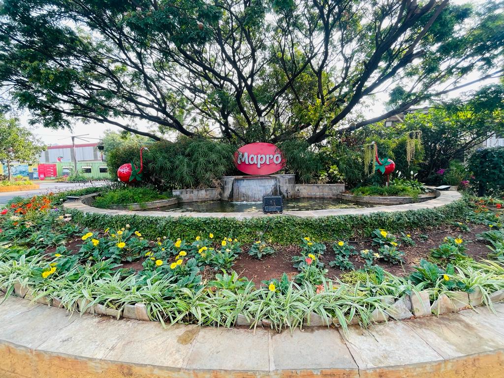 Mapro garden | yatrapur.com