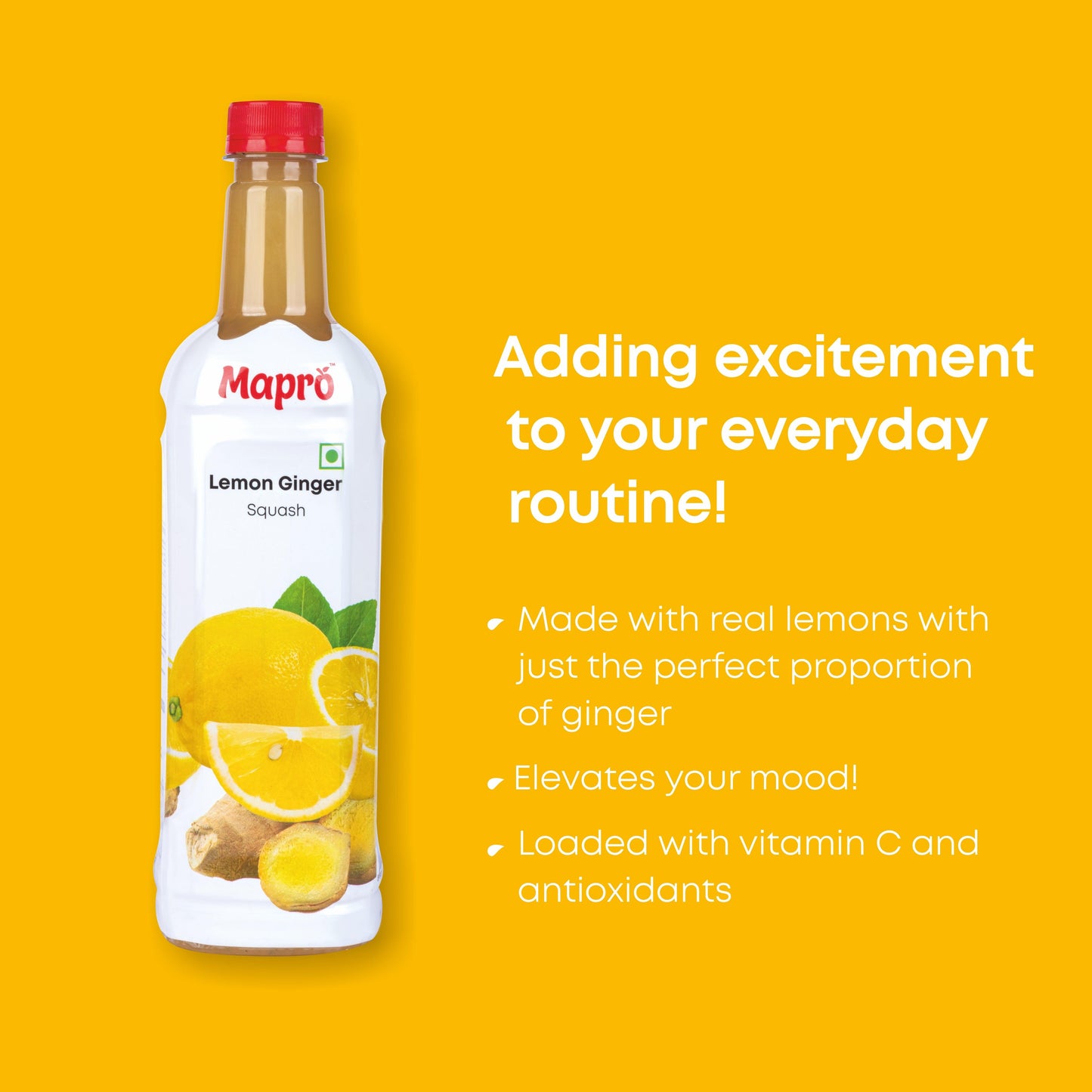 Lemon Ginger Squash - Mapro